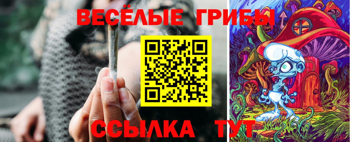 Медногорск  Псилоцибиновые грибы Magic Shrooms  закладка  Вход с VPN 