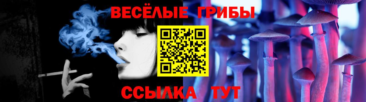 Галлюциногенные грибы прущие грибы Медногорск